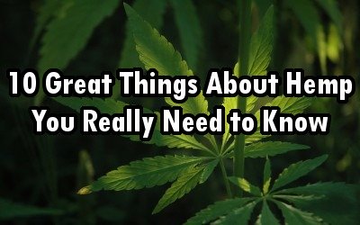 10 Great Things About Hemp You Really Need to Know