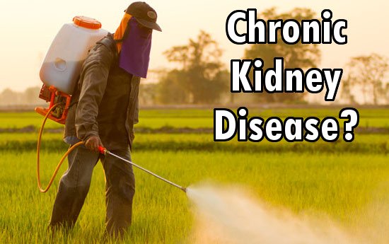 pesticides kidney diseaes
