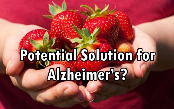 strawberries Alzheimer's