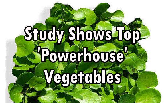 Study Ranks Healthiest ‘Powerhouse’ Vegetables, Which is #1?