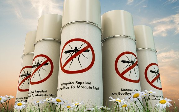 8 Lesser-Known Natural Bug Repellents that may Work