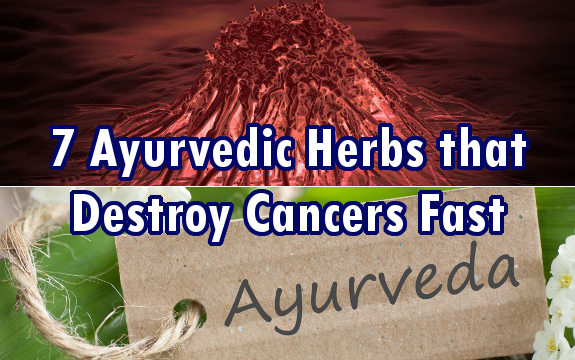 7 Herbs Used in Ayurveda that Destroy Colon & Other Cancers Fast