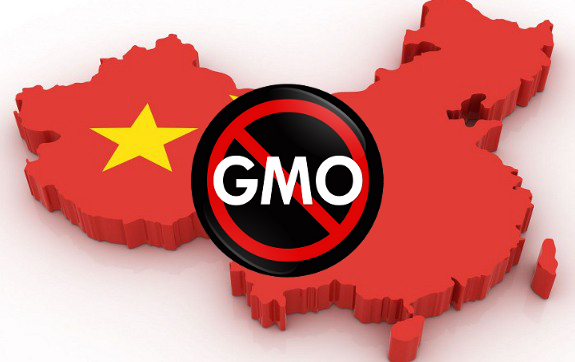 China GMO