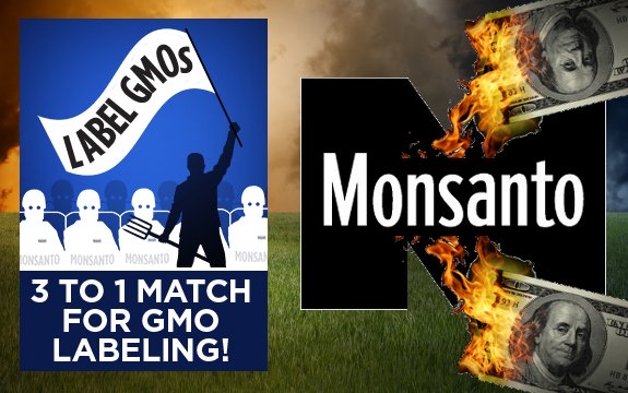 Monsanto’s Worst Nightmare Coming True: The Rise of GMO Labeling