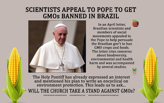 Brazilian Scientists to Pope Francis: Ban GMOs!