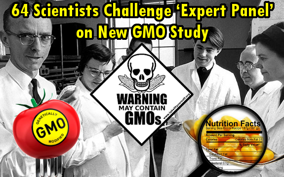 64 Established Scientists Reveal Corporate Fraud Behind International GMO Study?