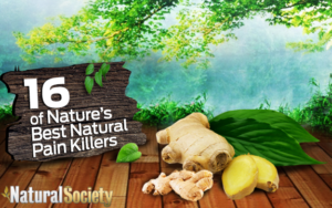 natural pain killers