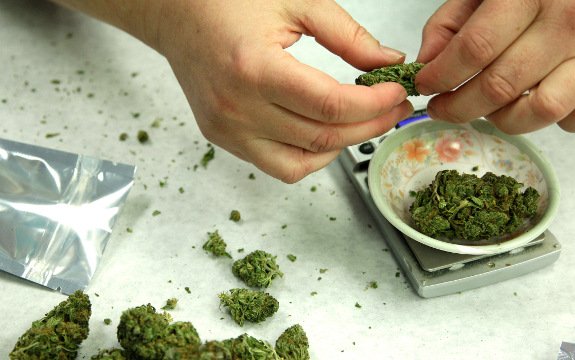Report: Marijuana Users 3 Times Less Likely to be Obese