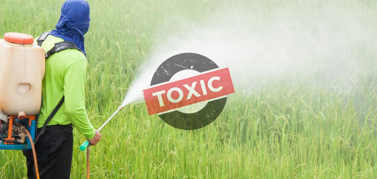 Another Independent Study Confirms Monsanto’s Roundup Chemicals are Lethal, Even in Small Doses