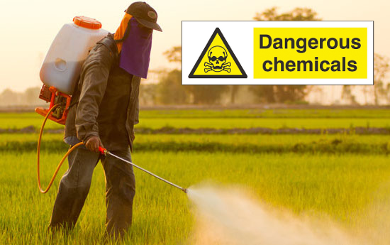 pesticides chemicals