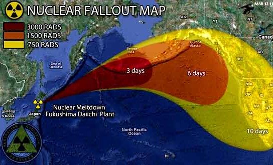 radiation Fukushima