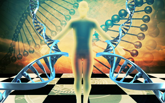 Beyond Deterministic Genes: The Morphogenetic Field