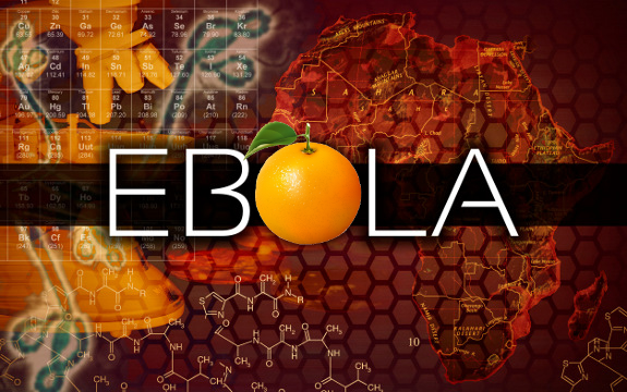 4 Studies Reveal 4 Natural Ways to Combat Ebola