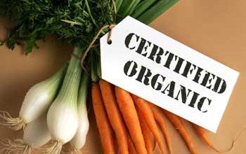 Scientists Prove Organic Food More Nutritionally Rich than Conventional, GMO Crops