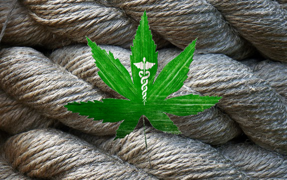 Hawaii Makes Use of Hemp as BioFuel, Other States to Follow?