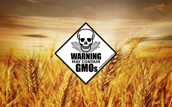 Monsanto Scandal Causes Reopening of US Investigation of GMO Wheat