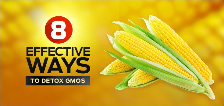 8 Effective Ways to Detox GMOs