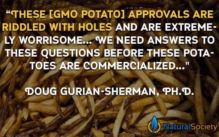 genetically-modified-potatoes-french-fries