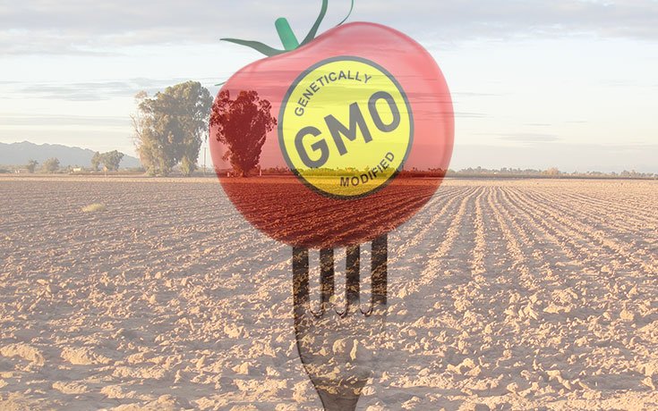 GMO Crops Are Destroying Farmland, and Monsanto Doesn’t Want You to Know