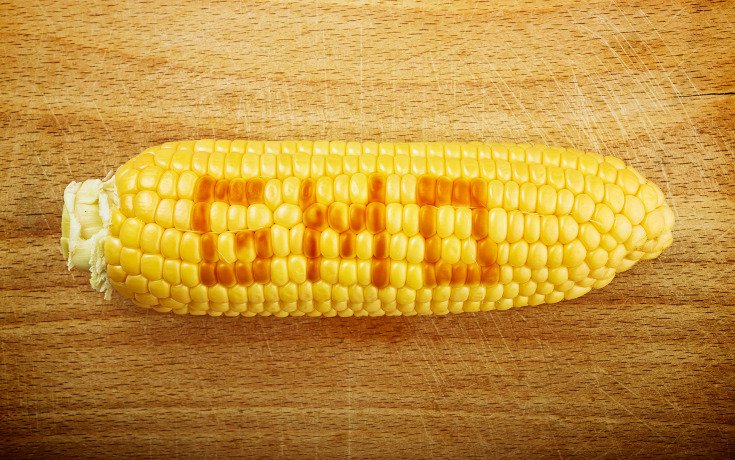 Former EPA Scientist Speaks Out Against GMOs