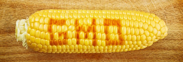 Biotech Hit with Billion Dollar Lawsuit for ‘Ruining Corn Industry’