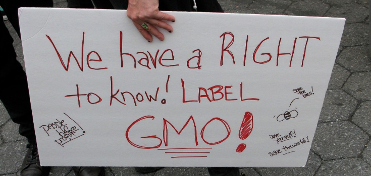Despite Biotech Spending Millions, Oregon GMO Labeling Measure Heads for Recount