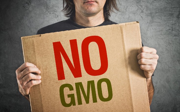 Set Stage: Will Europe Now Ban GMO Cultivation?