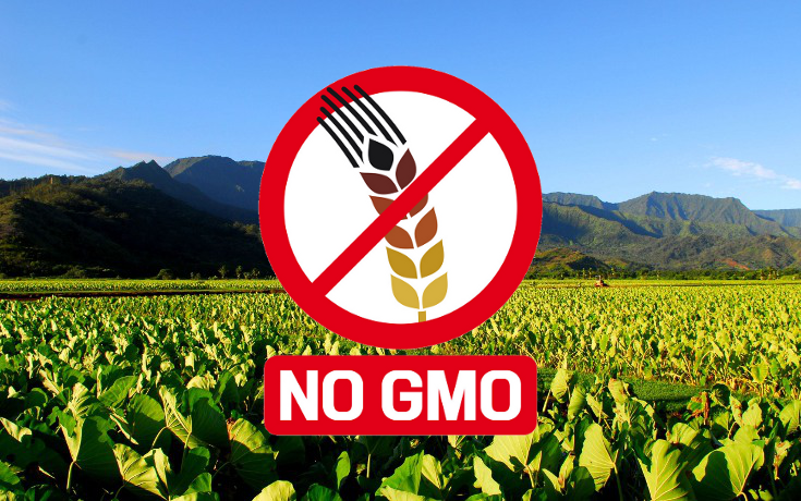 Hawaii Claims Huge Win Against Monsanto at GMO Ground Zero