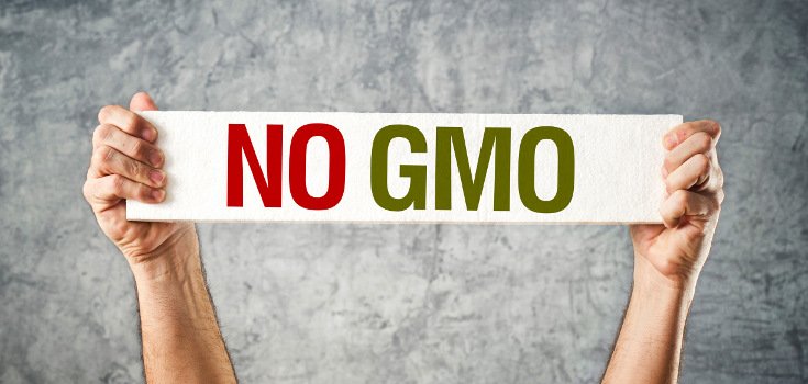 Breaking: Maine Introduces Bill to Label GMOs NOW