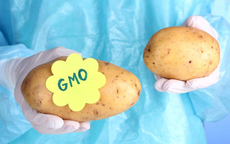 How to Know if You’re Buying the New GMO Potato