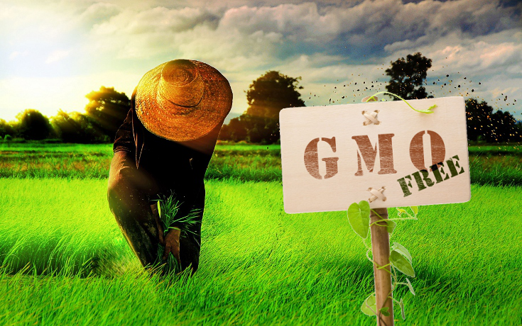 8 Proofs We Don’t Need GMOs to Feed the World