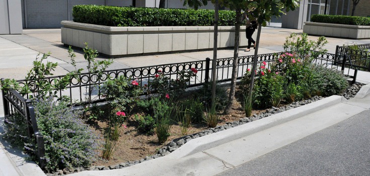 NYC Launches Massive ‘Curbside Garden’ Campaign