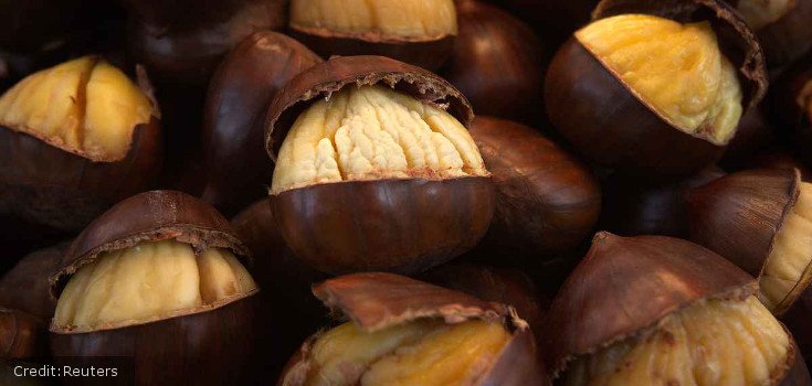 US Government May Soon Approve GMO Chestnuts