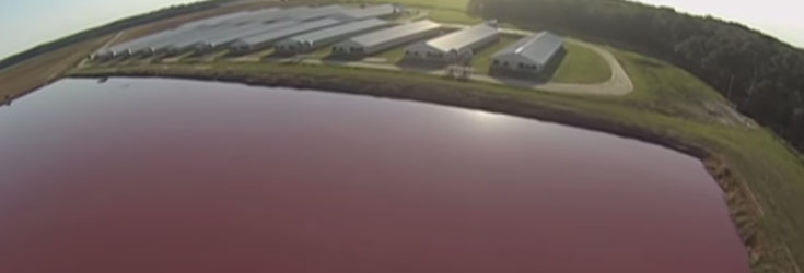 factory-farm-drone-lake