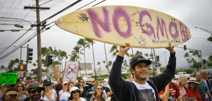 Maui Inches Closer to Beating Monsanto over New GMO Moratorium