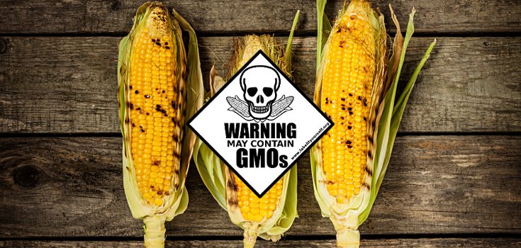 Boycott, Label or Ban? How Best to Fight the Spreading of GMOs