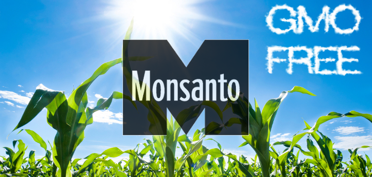Monsanto Tries to Overturn GMO Ban Despite 66% Majority Vote