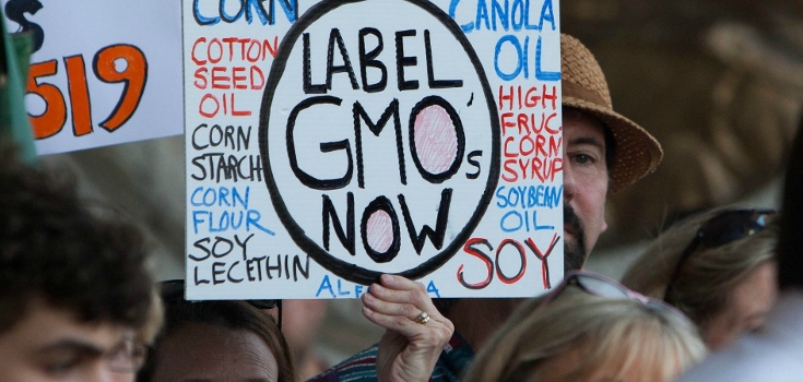 Oregon GMO Labeling Measure 92 Recount: 4 More Counties Post Results
