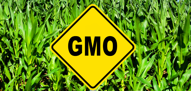 These Statistics Prove GMOs Are Absolutely Not ‘Feeding America’