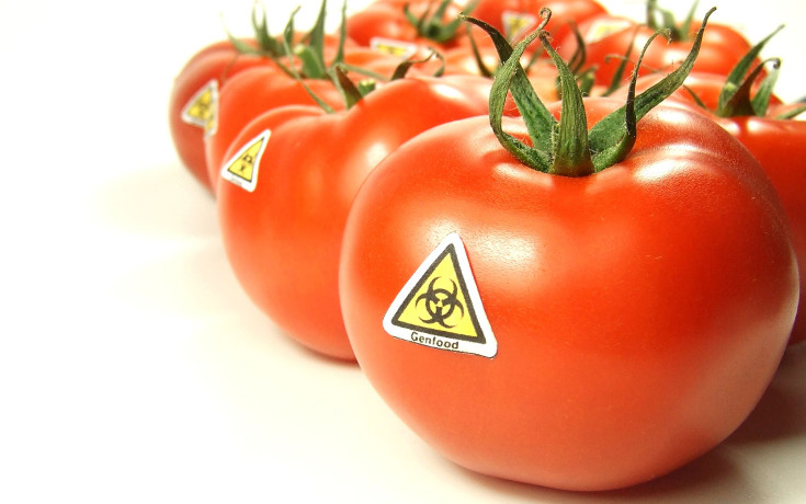 New Level: Monsanto Tries Patenting Natural Tomatoes