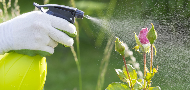 New ‘Harmless Herbicide’ to Compete with Monsanto’s RoundUp