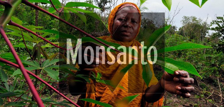 New ‘Monsanto Law’ in Africa Would Force GMOs on Farmers