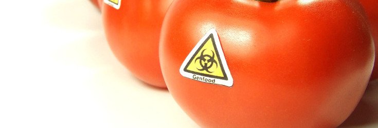 Russia Officially Punishes Those Breaking GMO Labeling Laws