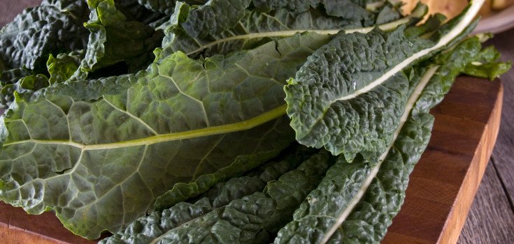 Vegetable Compound 100% Effective in ‘Preventing Cancer from Spreading’