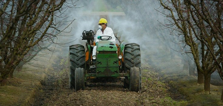 Uh Oh: Monsanto’s Herbicide Roundup, Glyphosate Damages DNA