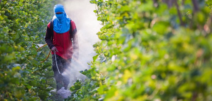 You Won’t Believe How Much Pesticides You’re Eating Every Day