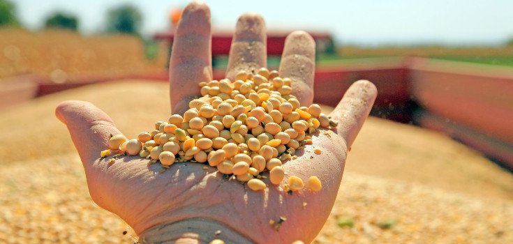 USDA May ‘Regulate Non-GMO Seed Banks To Death’