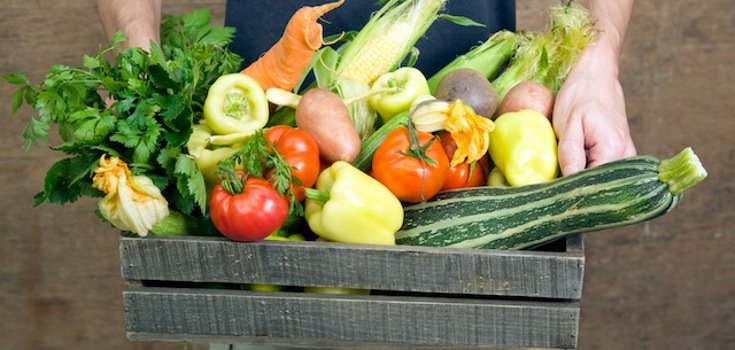 Growing Your Own Food Part of Our Future, Expert Says
