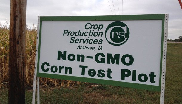 GMO-Corn-Test-Plot