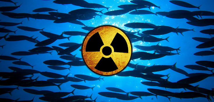 Fishermen Slam TEPCO for Silence on Cesium-Water Dumped in Pacific